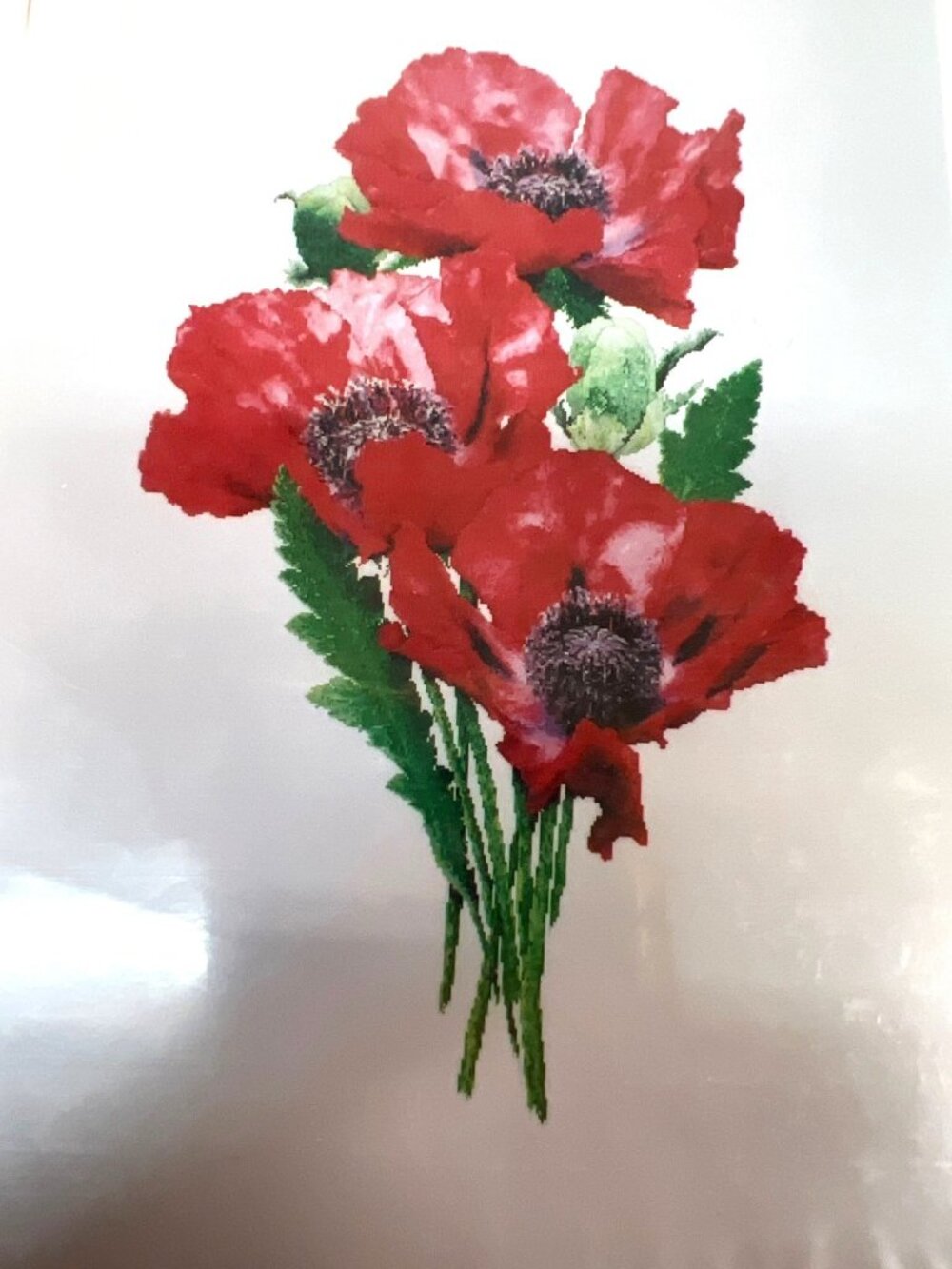 The Big Red Oriental Poppies Cross Stitch Pattern By The Silver Lining SL165